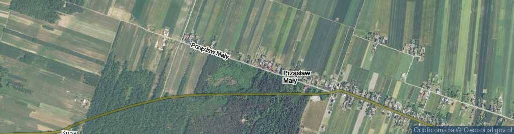Zdjęcie satelitarne Prząsław Mały ul.